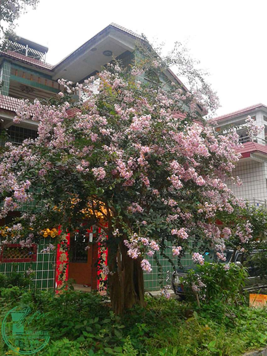 20150607_111345.jpg