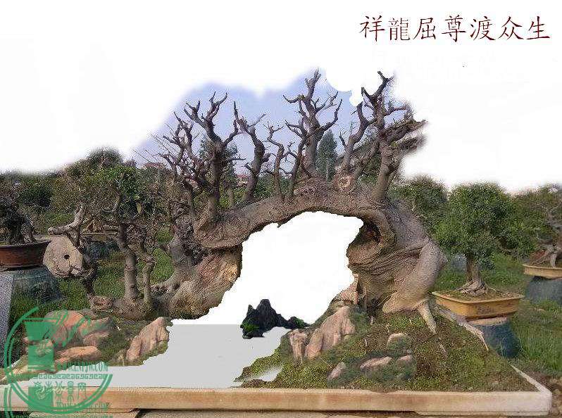 070315sj2qqqip2llidp8h.jpg.thumb.jpg
