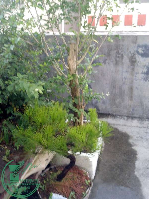 2015-06-20_18-06-56_703_www.moumu.com.jpg