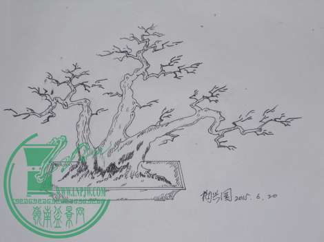 DSCN1095.jpg