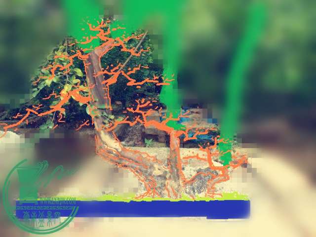 185045omgrvyg6tszt3jb3 -  (2)_.jpg