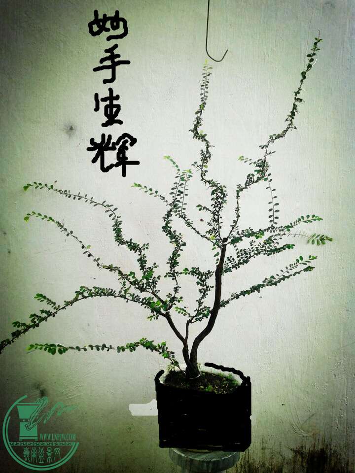 QQͼƬ20150622135057_.jpg