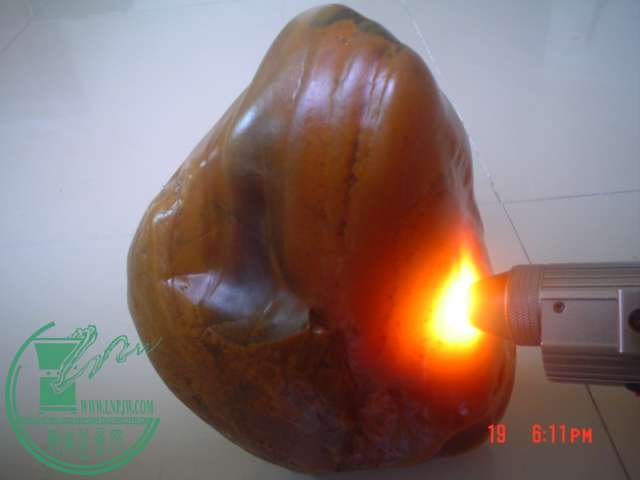 DSC00290.JPG