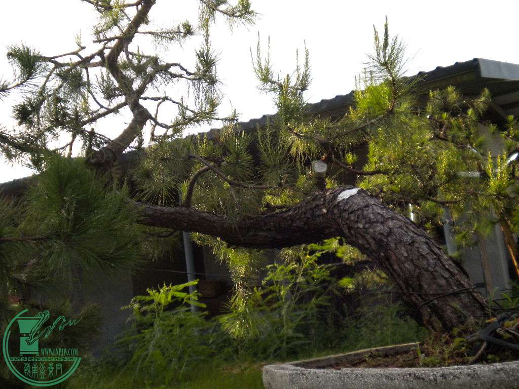 DSCN8284.JPG
