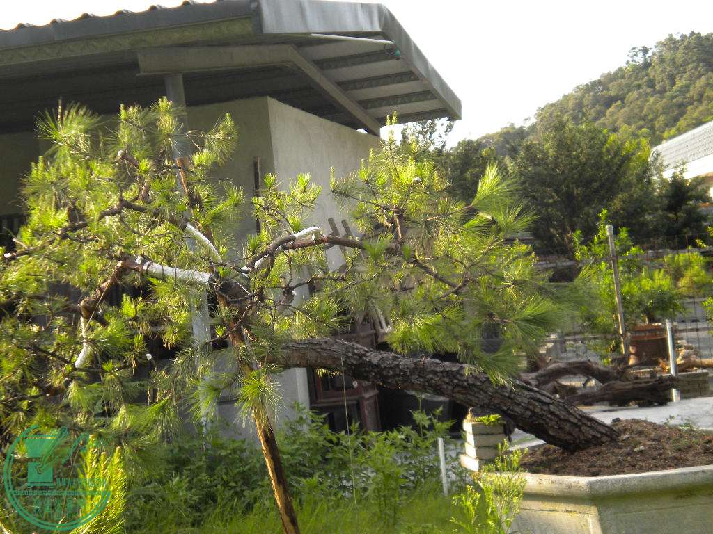 DSCN8285.JPG