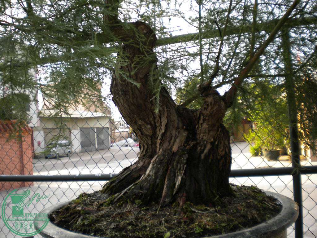 DSCN8298.JPG