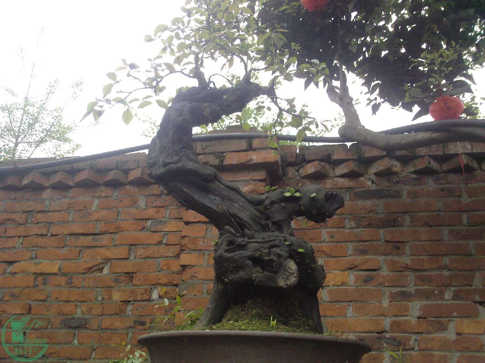 20150404084409.jpg