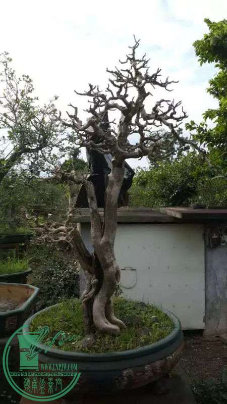 659240