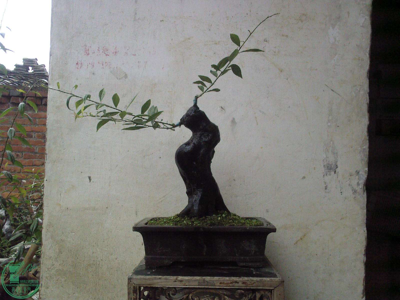 20150619143751.jpg