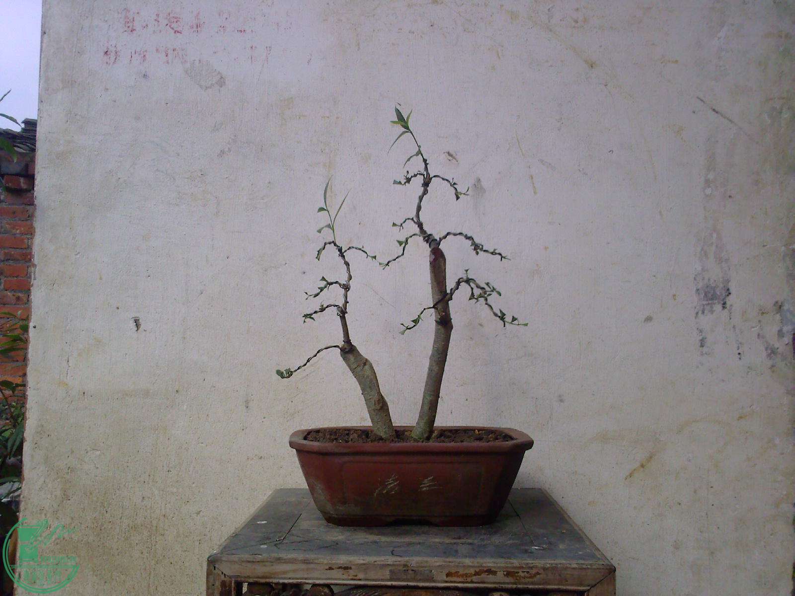 20150623173829.jpg
