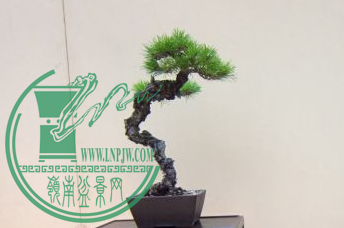 QQͼƬ20150626190632.png