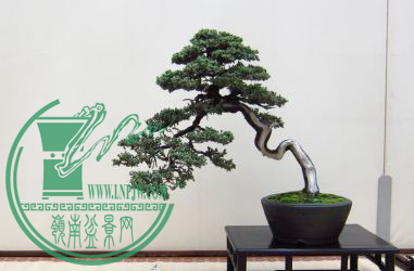 QQͼƬ20150626190643.png