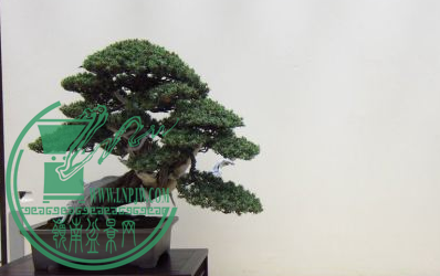 QQͼƬ20150626190654.png