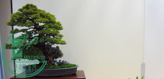 QQͼƬ20150626190704.png