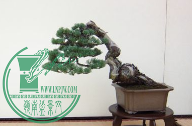 QQͼƬ20150626191030.png
