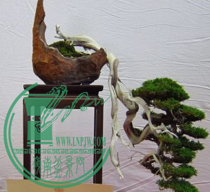 QQͼƬ20150626204157.png