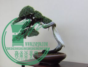 QQͼƬ20150626204227.png