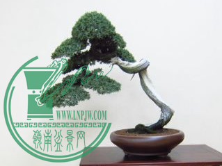 QQͼƬ20150626204231.png