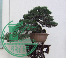 QQͼƬ20150626204245.png