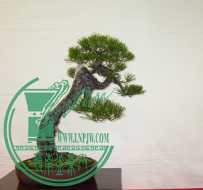 QQͼƬ20150626204252.png
