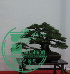 QQͼƬ20150626204300.png