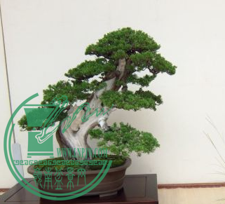 QQͼƬ20150626204328.png