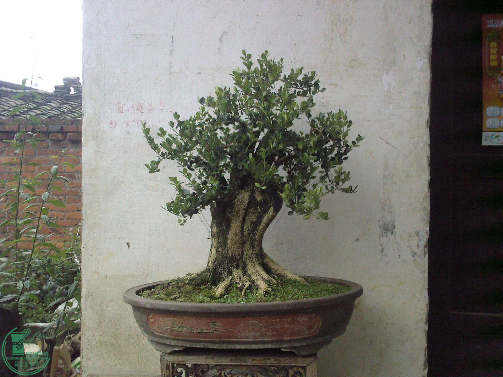 20150627090759 (2).jpg