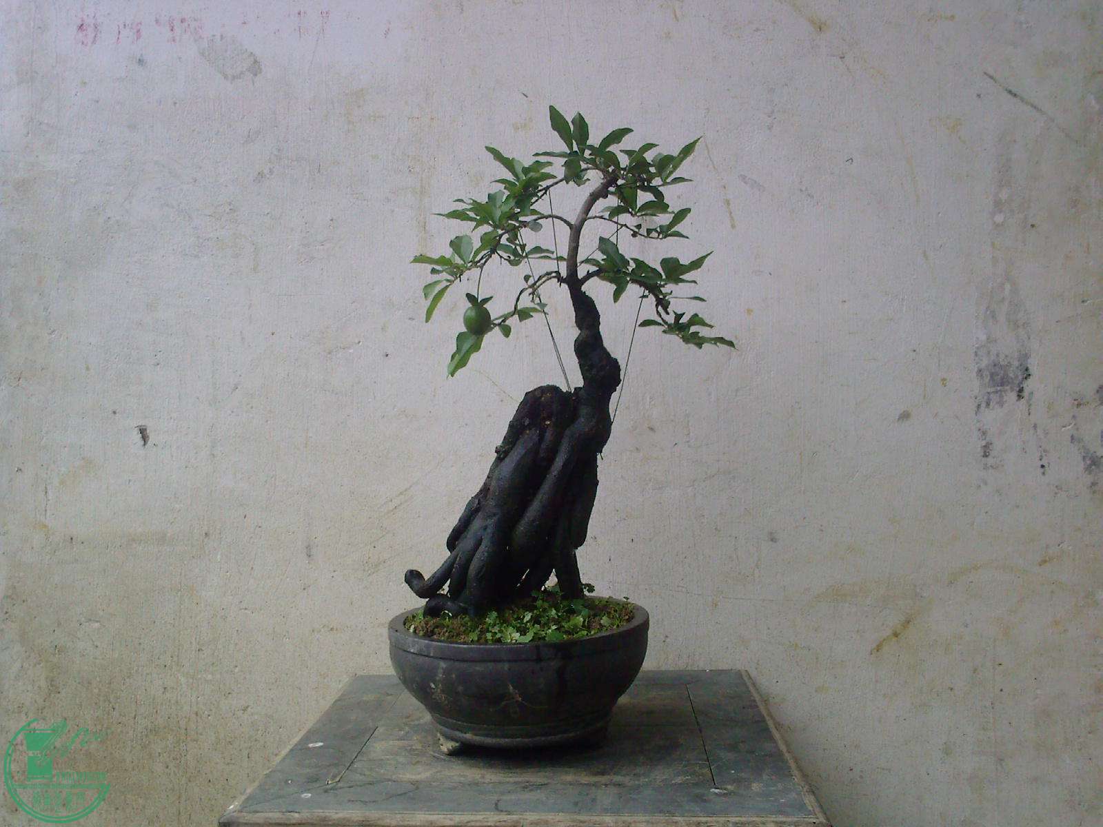 20150627092336.jpg