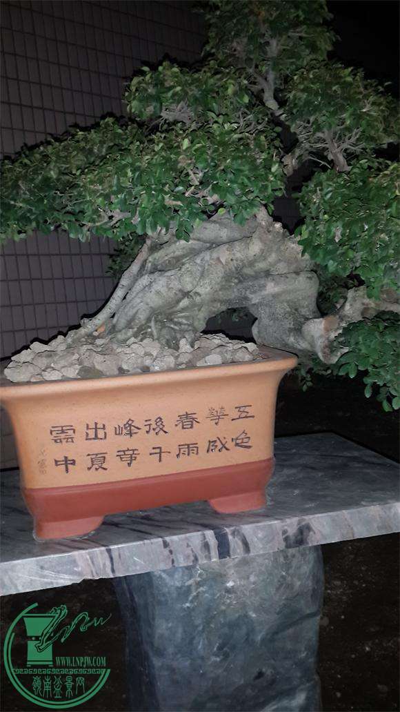 20150612_193707.jpg