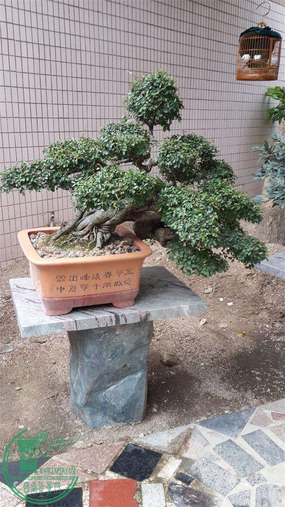 20150605_164152.jpg