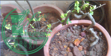 QQͼƬ20150627215153.png