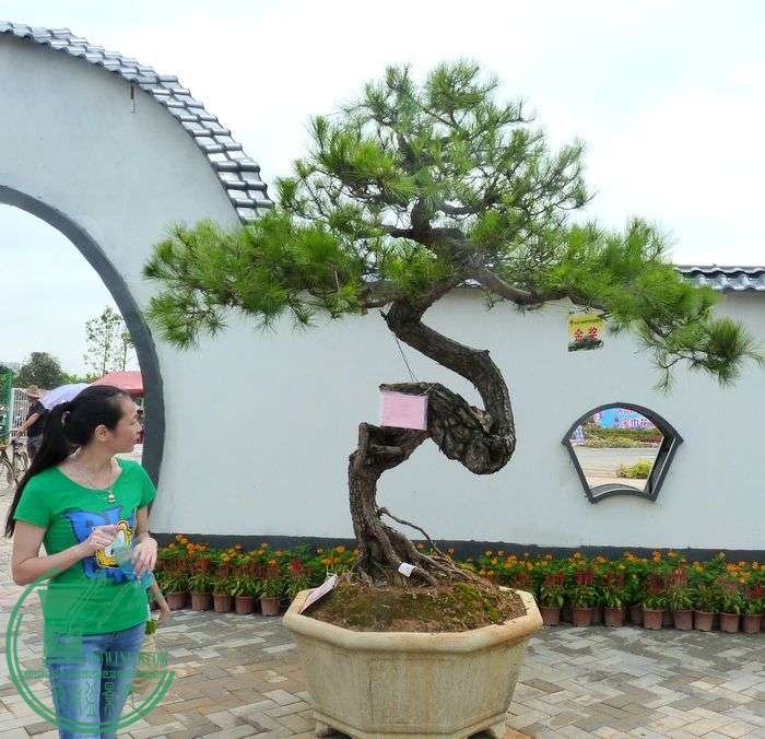 P1070150.JPG
