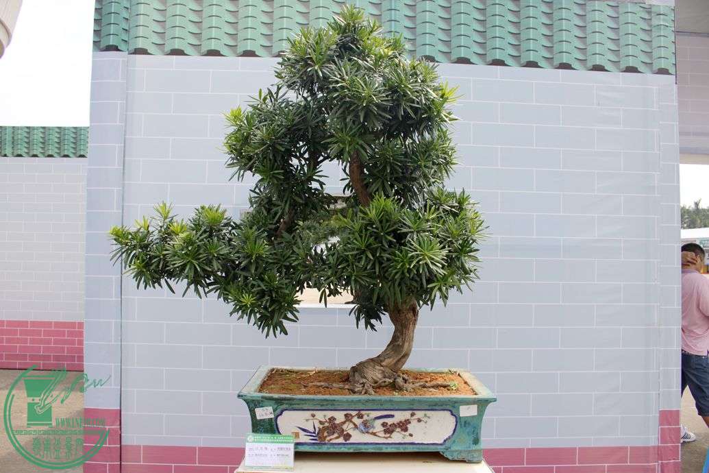 Ƭ 146.jpg
