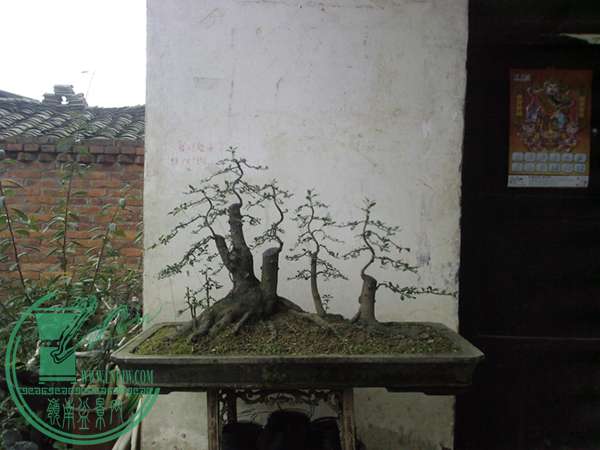 20150629164904.jpg