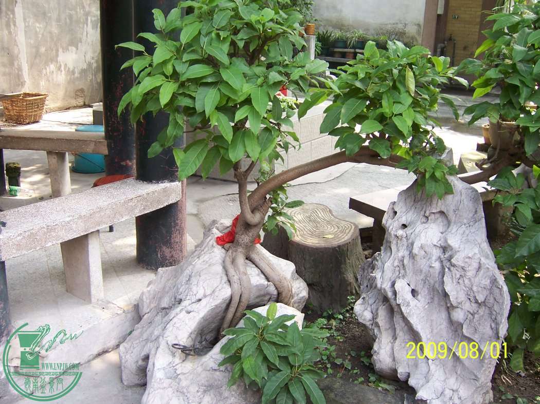 100_3770.jpg
