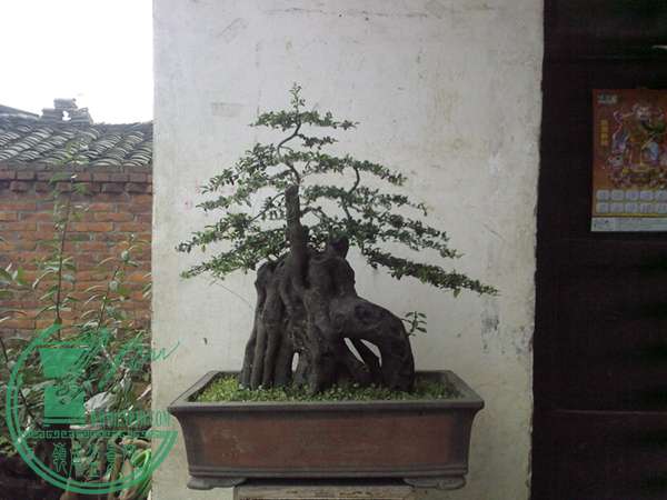 20150629174737.jpg