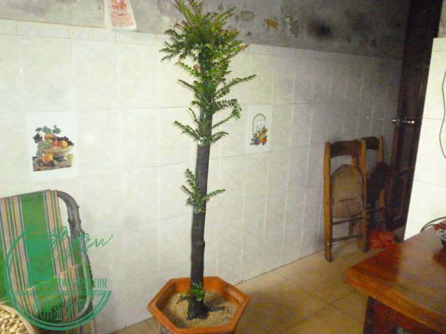 P1140201.JPG