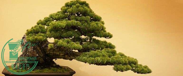 QQͼƬ20150701061501.jpg