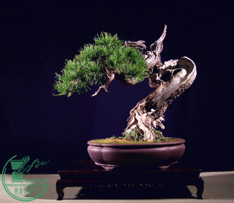 QQͼƬ20150701061622.gif
