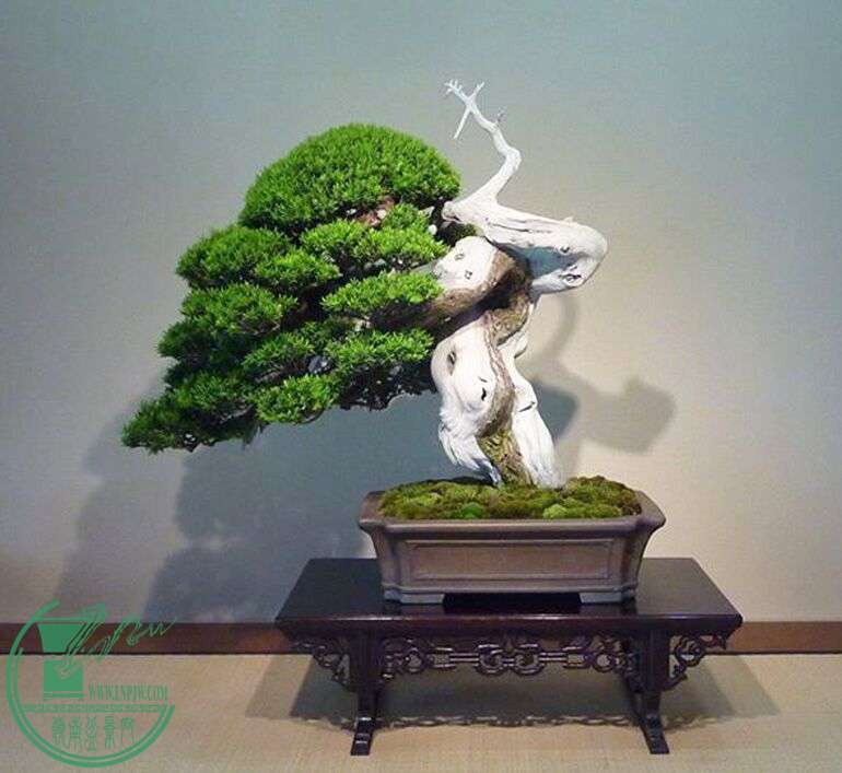 QQͼƬ20150701061627.jpg