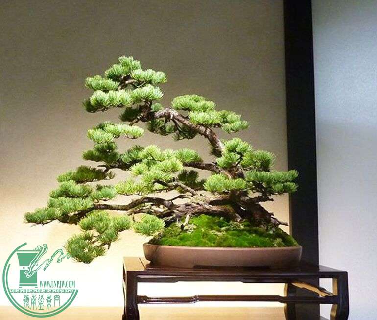 QQͼƬ20150701061631.jpg