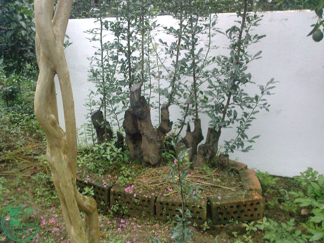20150630133843__.jpg