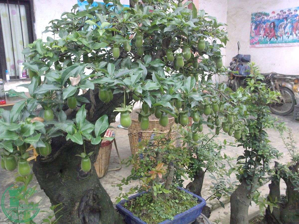 20140615082012__.jpg