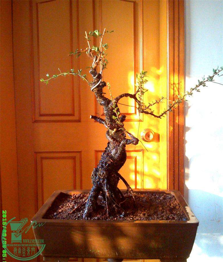 ȸ32IMG_20150630_055647_2345ͼ_ͼ_ͼ.jpg