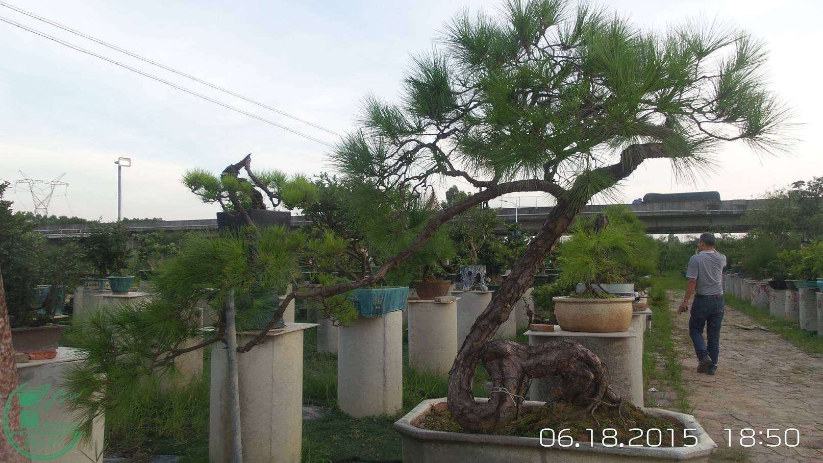 20150618_185030.jpg