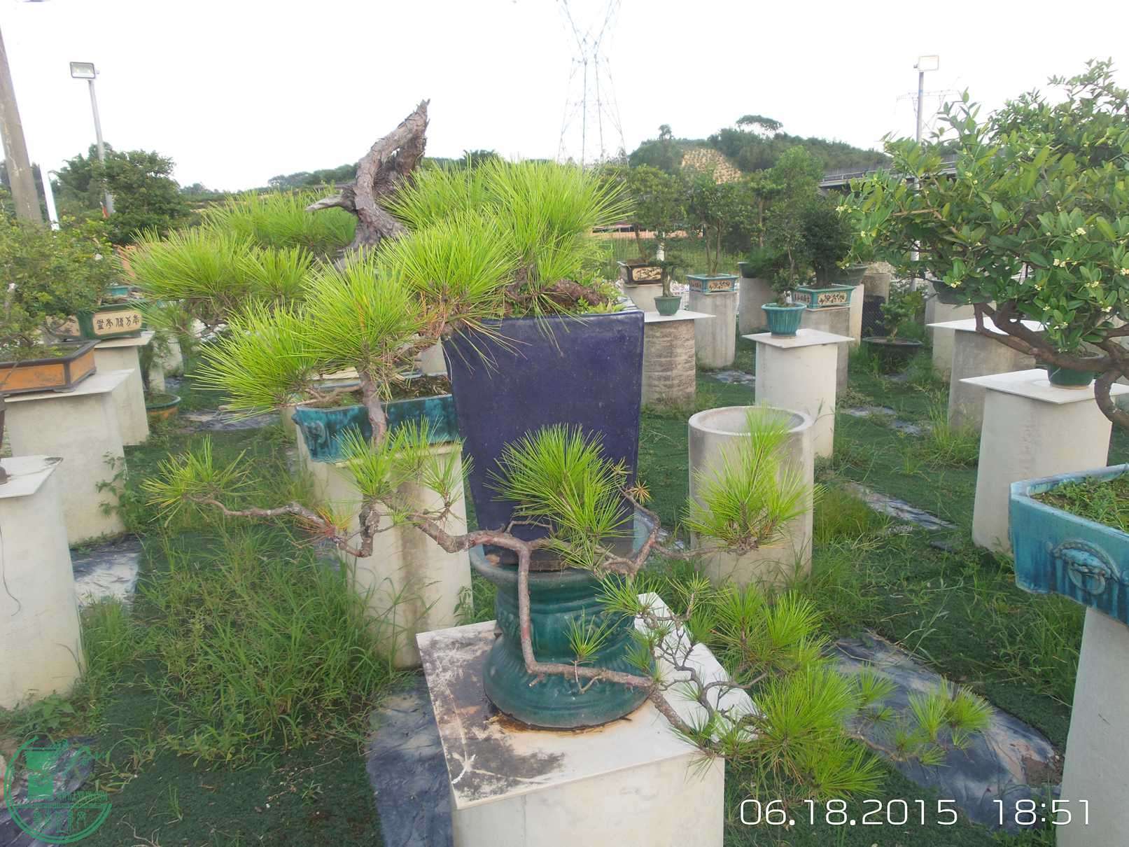 20150618_185117.jpg