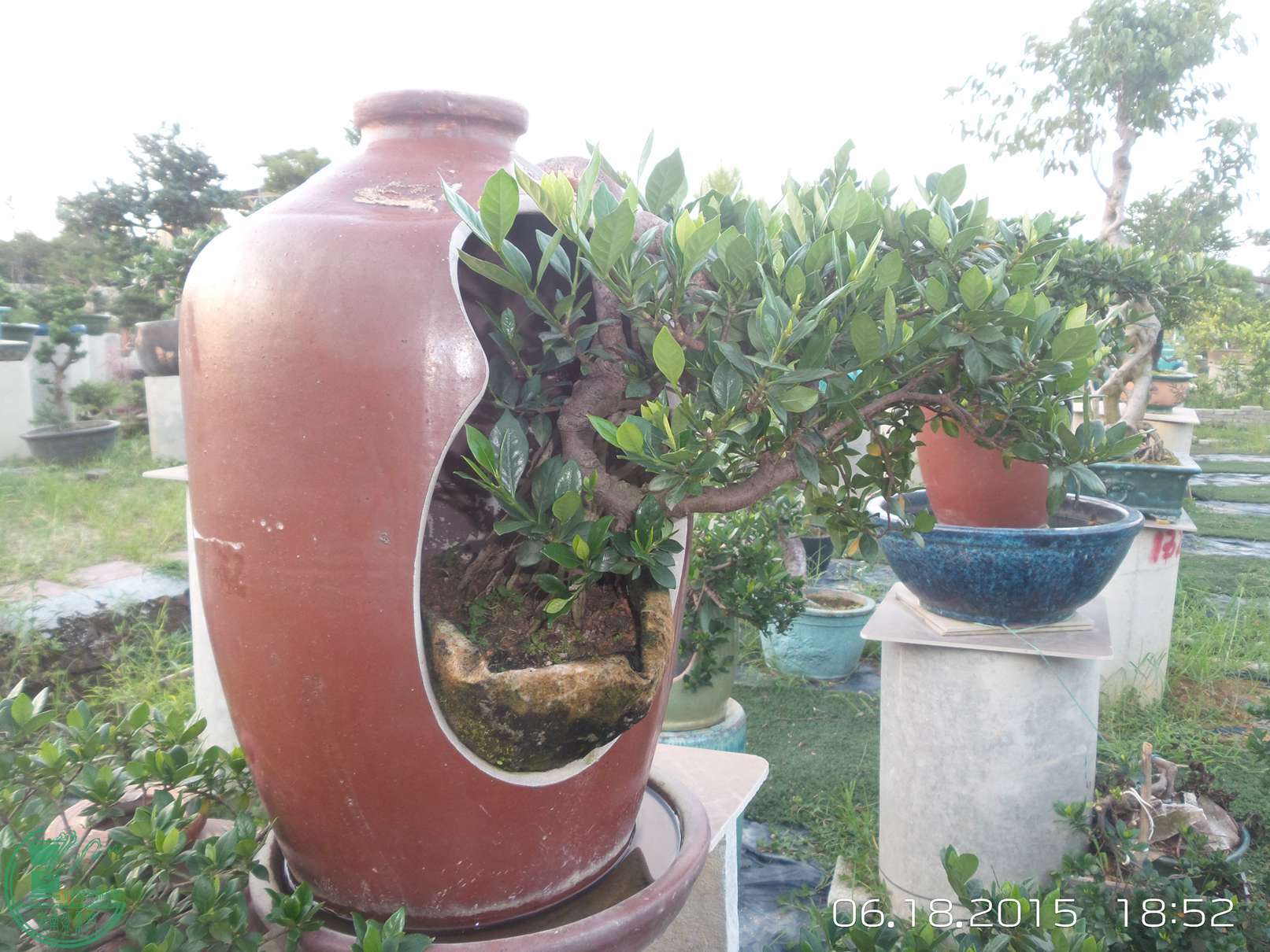 20150618_185234.jpg