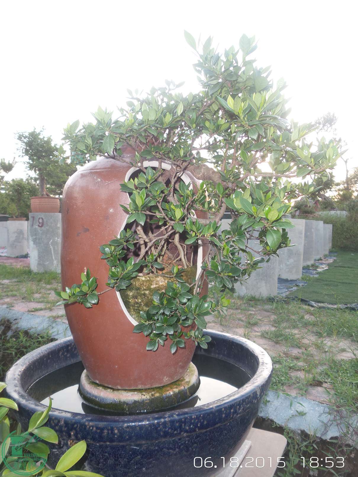 20150618_185341.jpg