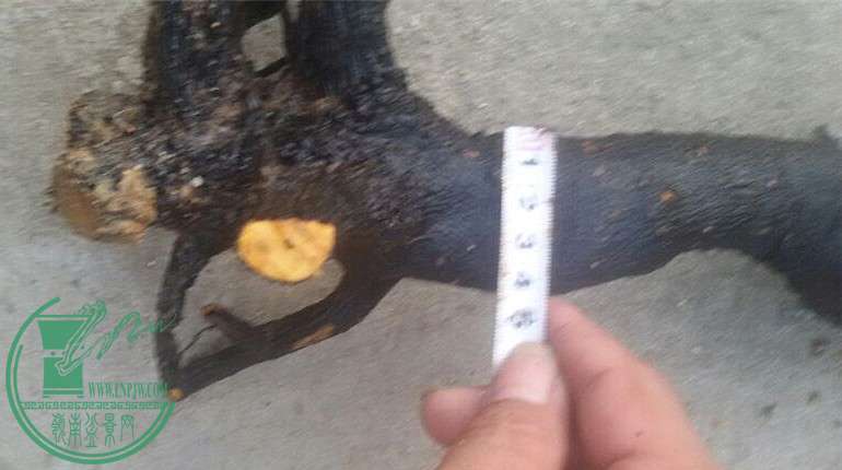 3_.jpg