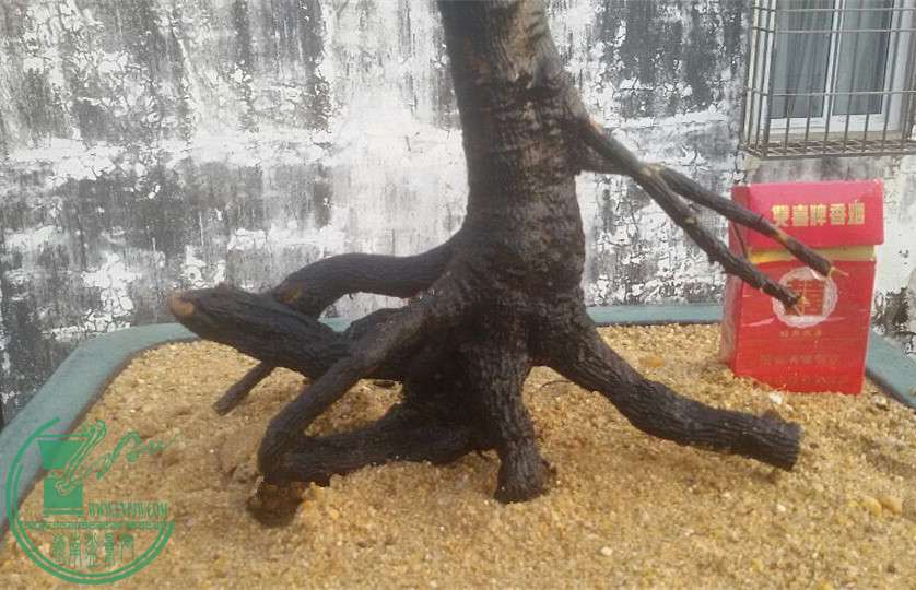 6_.jpg